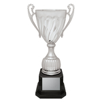 Cruiser Cup - Silver