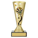 Darts Aspire Carnival Cup