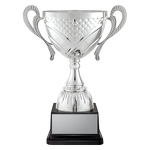 Welcome Cup - Silver