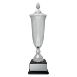 Arsenal Cup