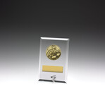 Glass Plaques - Swim