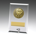 Glass Plaques - Pickleball