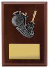 Plaque - Peak Cricket