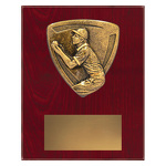 Nova Plaque - Fielding