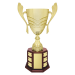 Ensign Cup