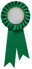 Green Rosette w/ Clip