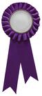 Purple Rosette w/ Clip