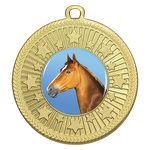 Horse - Starlight